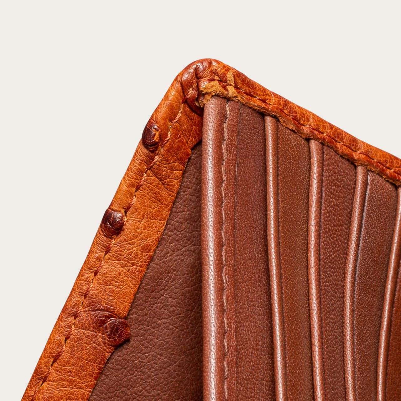 Pecan Ostrich