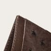 Chocolate Ostrich