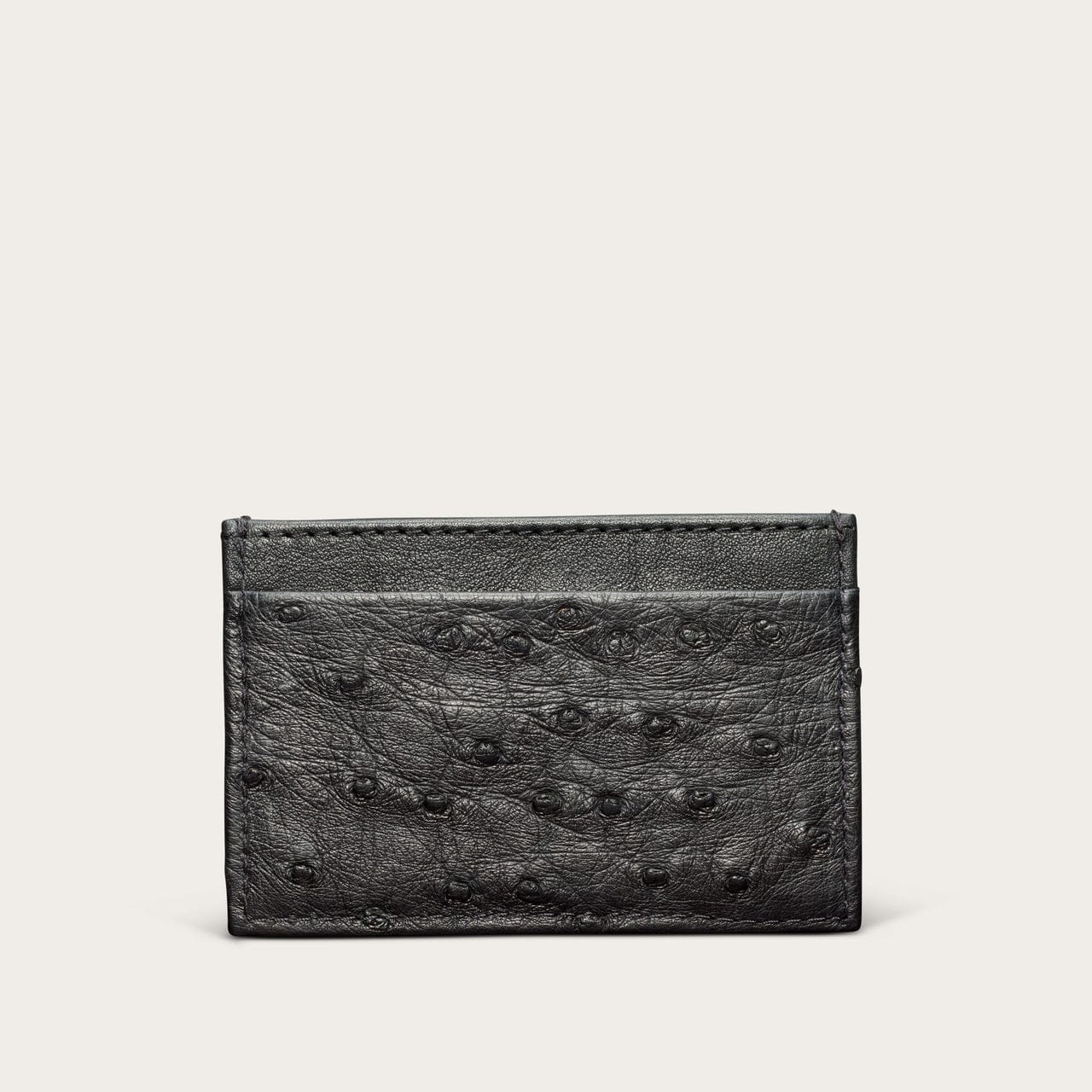 Midnight Ostrich-prof
