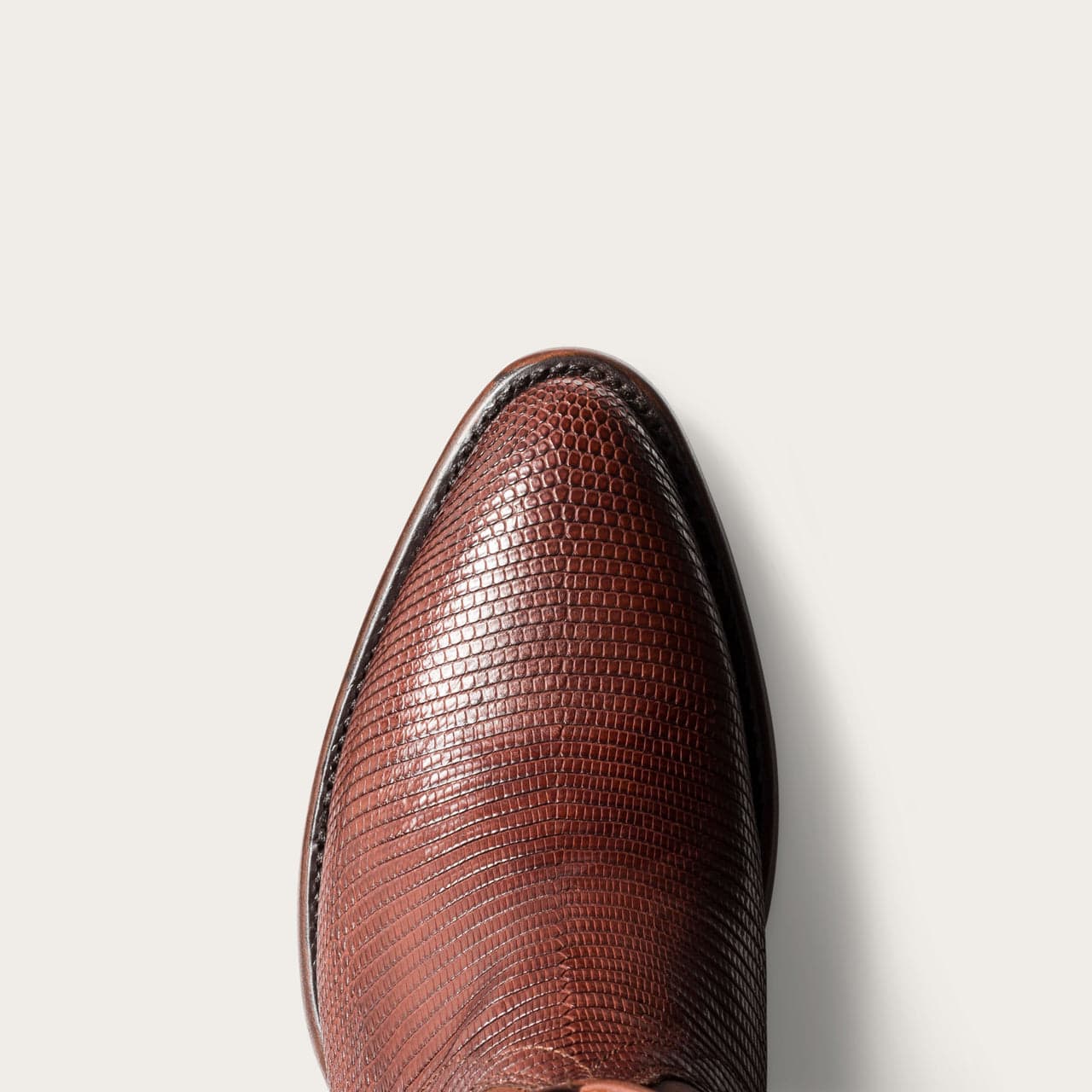 Bourbon Lizard-toe