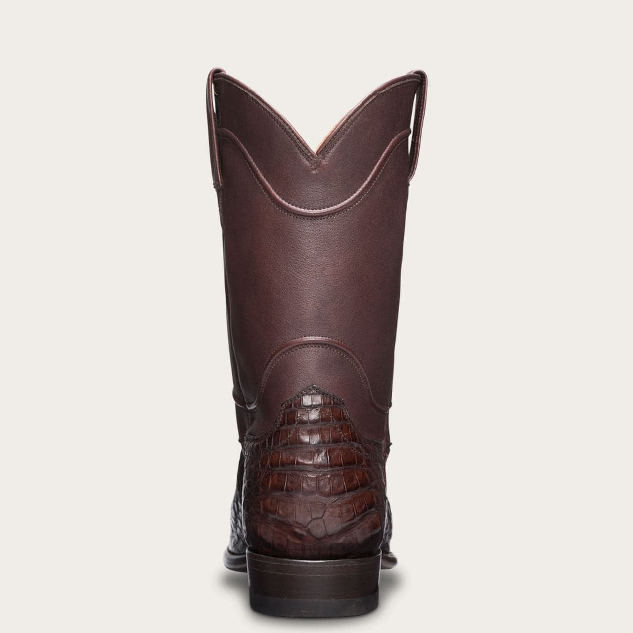 Chocolate Caiman-back