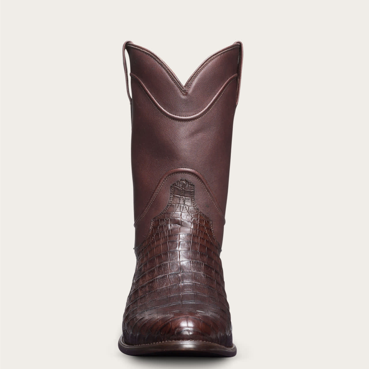 Chocolate Caiman-front