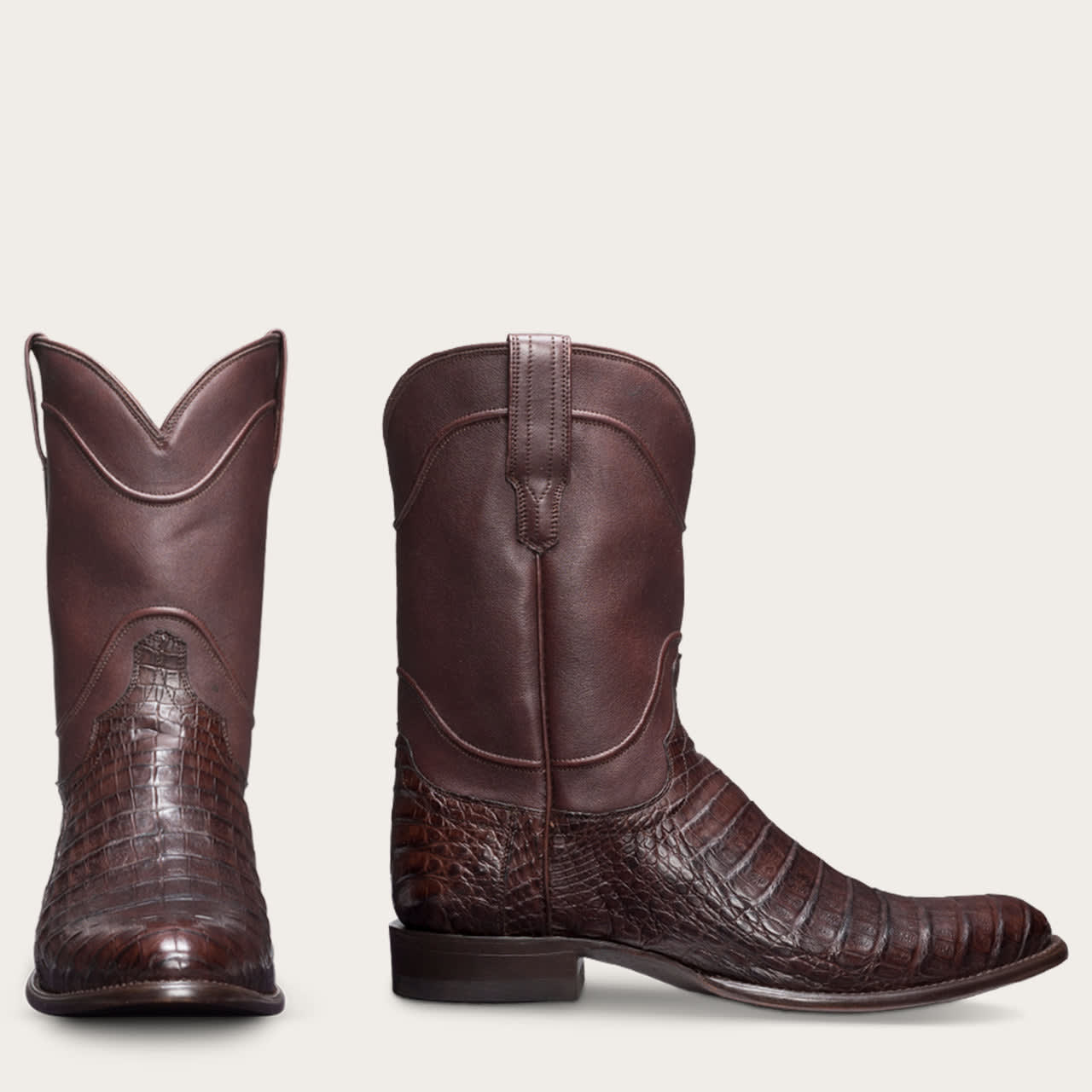 Chocolate Caiman-pair