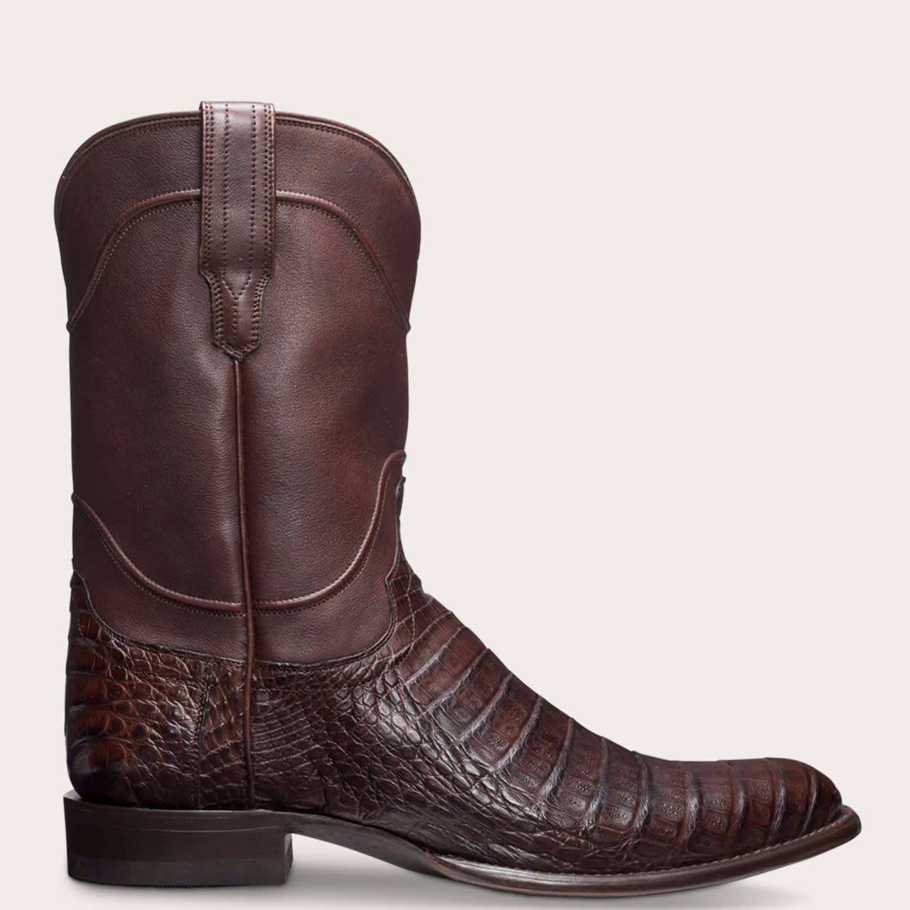 Chocolate Caiman-prof