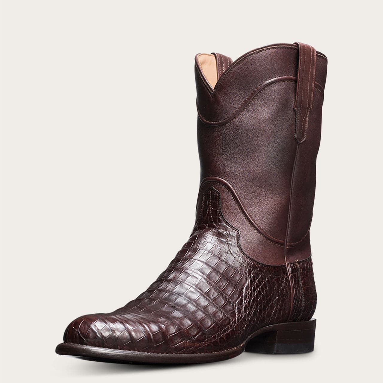 Chocolate Caiman-quarterfront