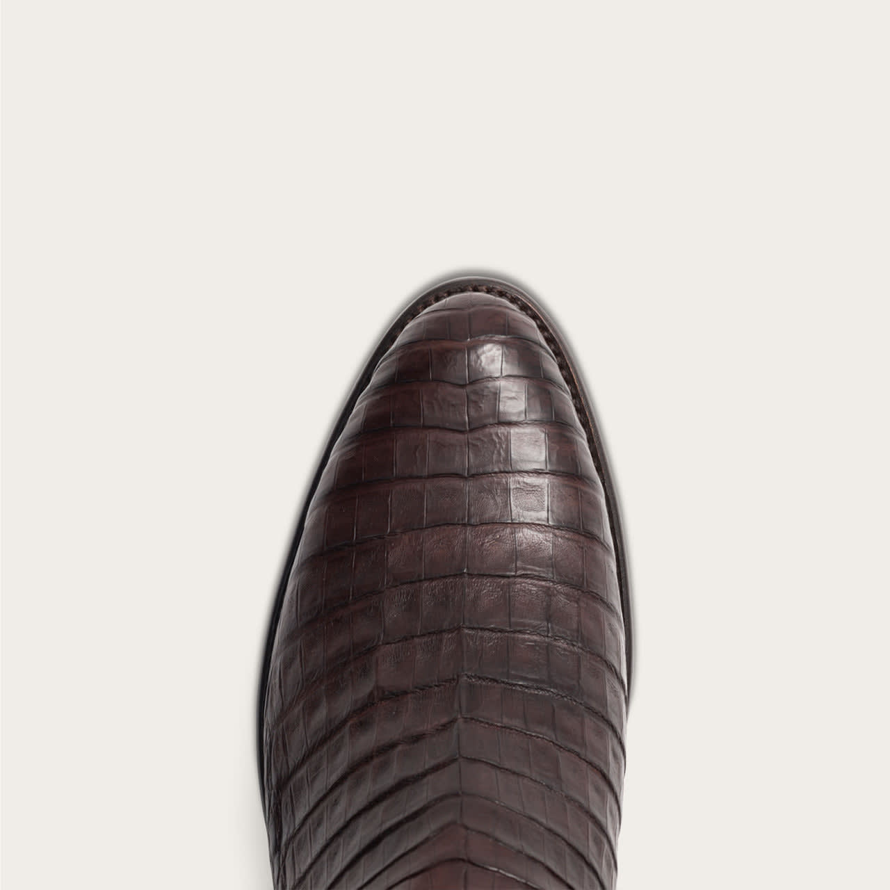 Chocolate Caiman-toe