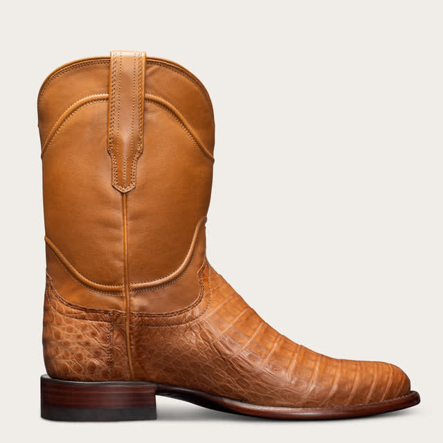Desert Caiman-prof