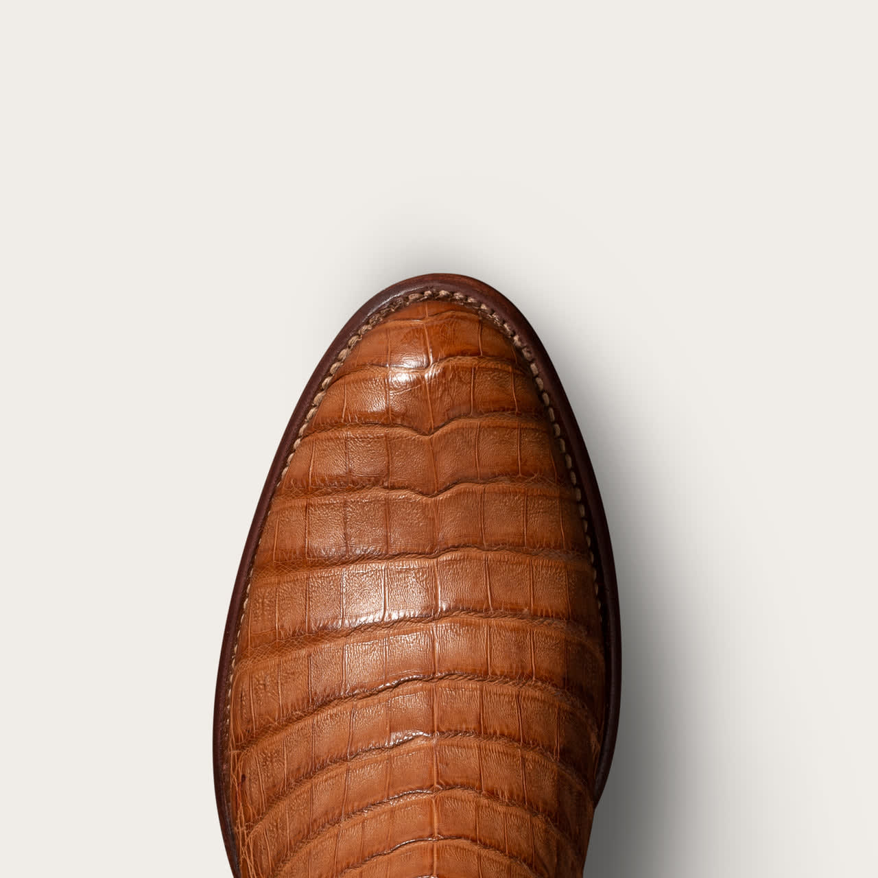 Grain Caiman-toe