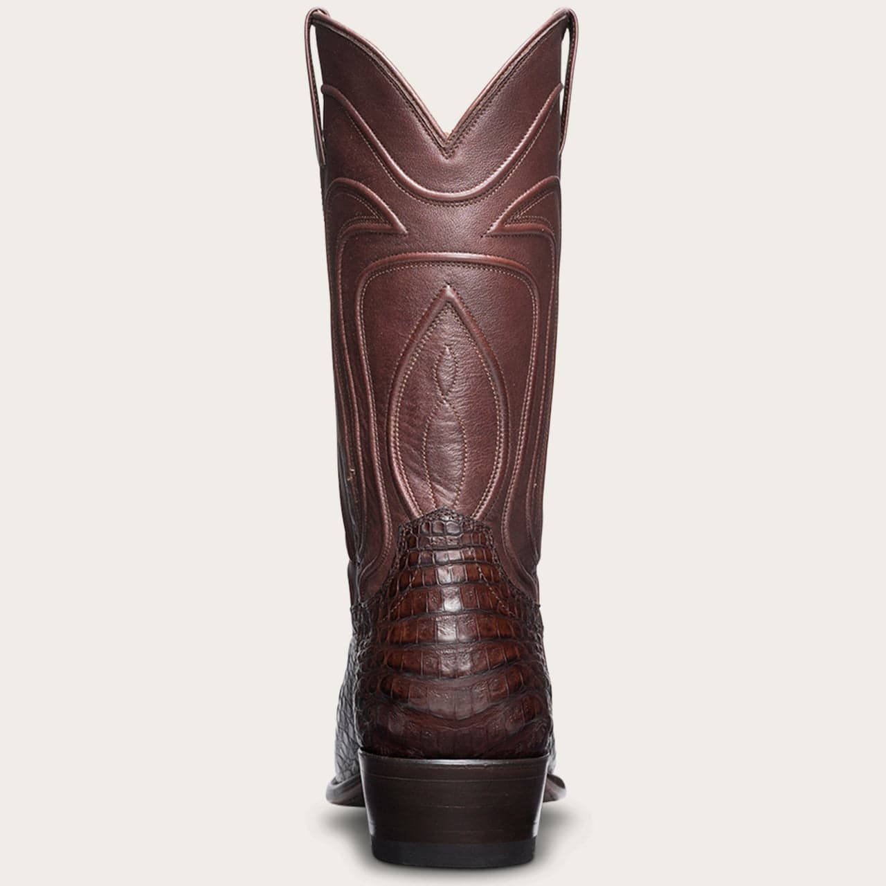 Chocolate Caiman-back