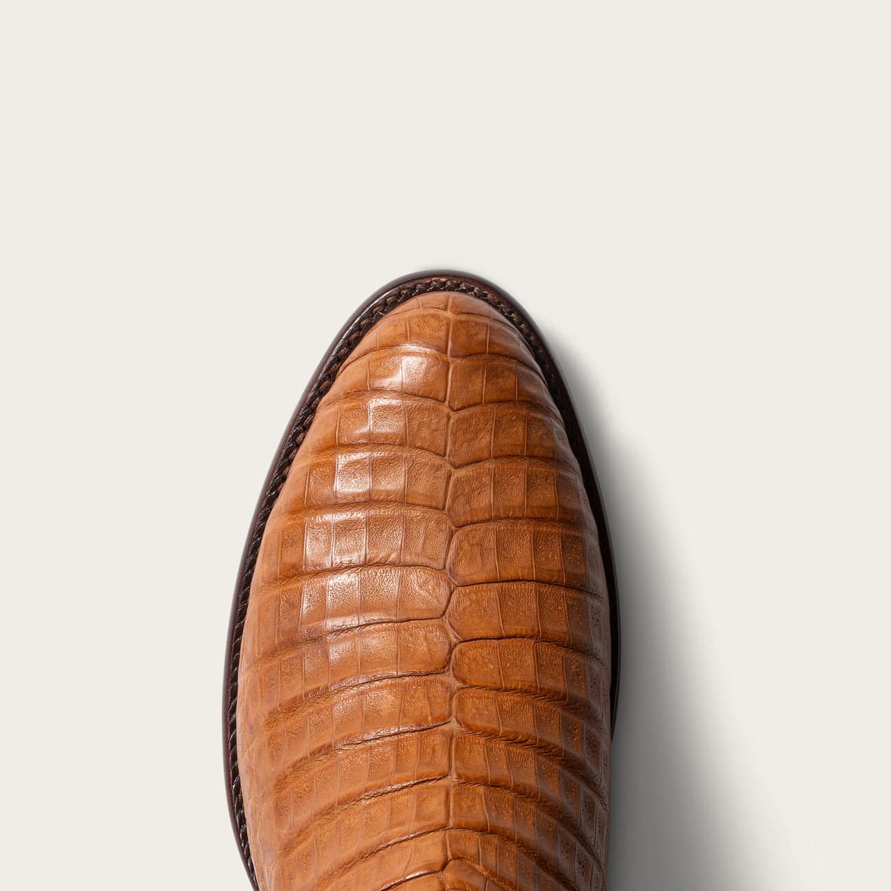 Desert Caiman-toe