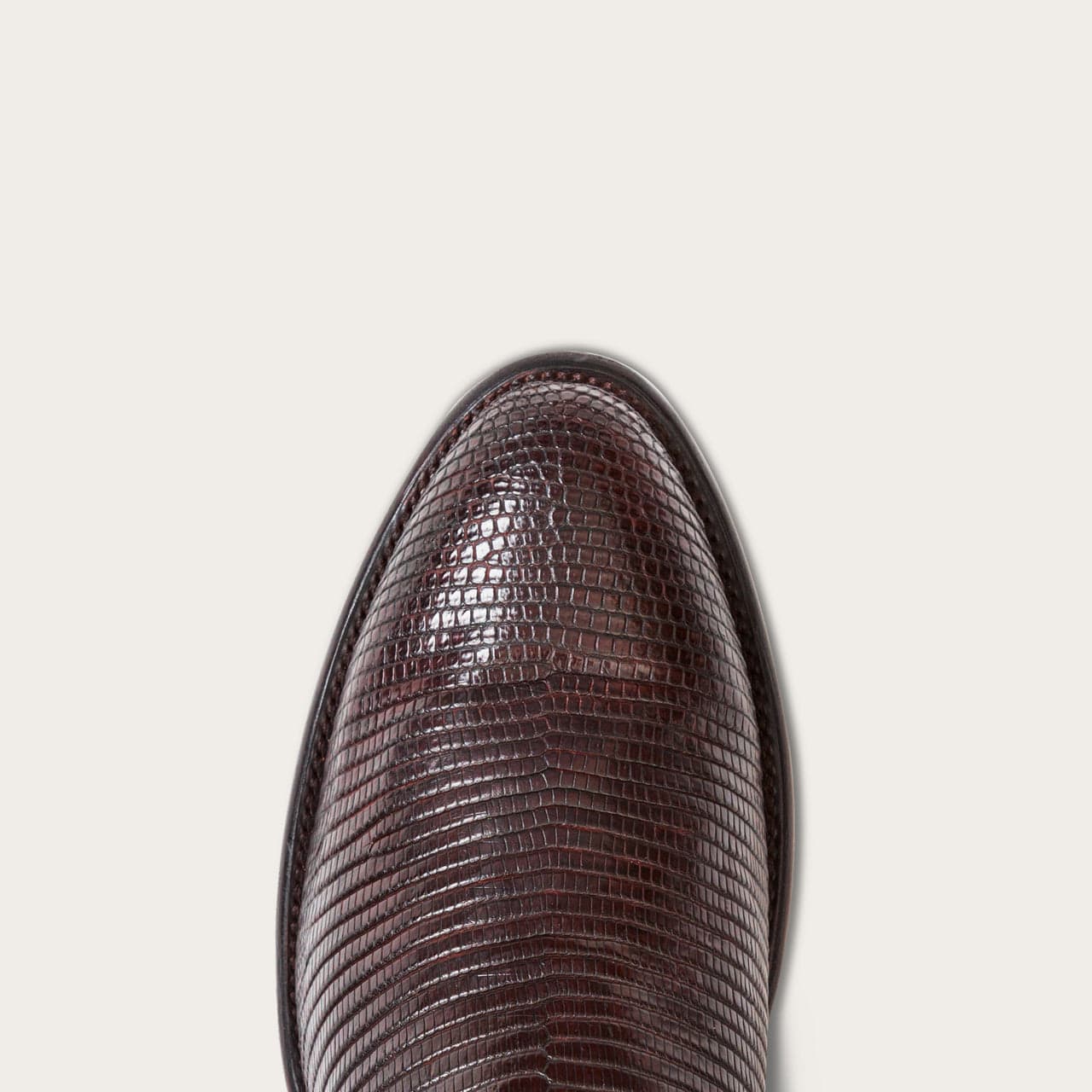Chocolate Lizard-toe