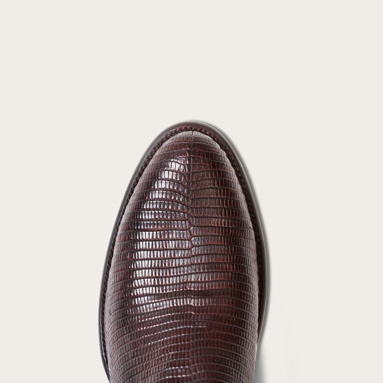 Chocolate Lizard-toe