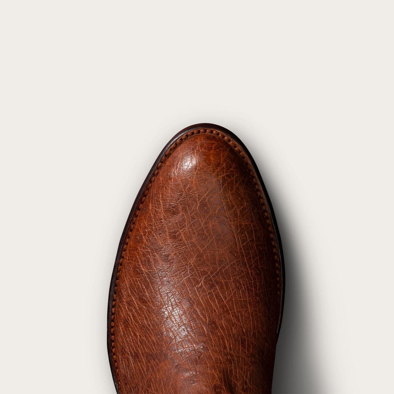 Russet Ostrich