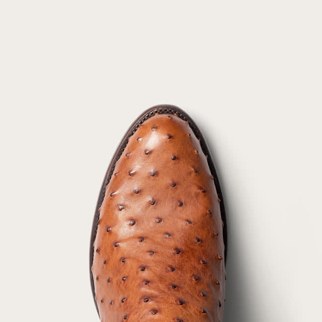 Pecan Ostrich