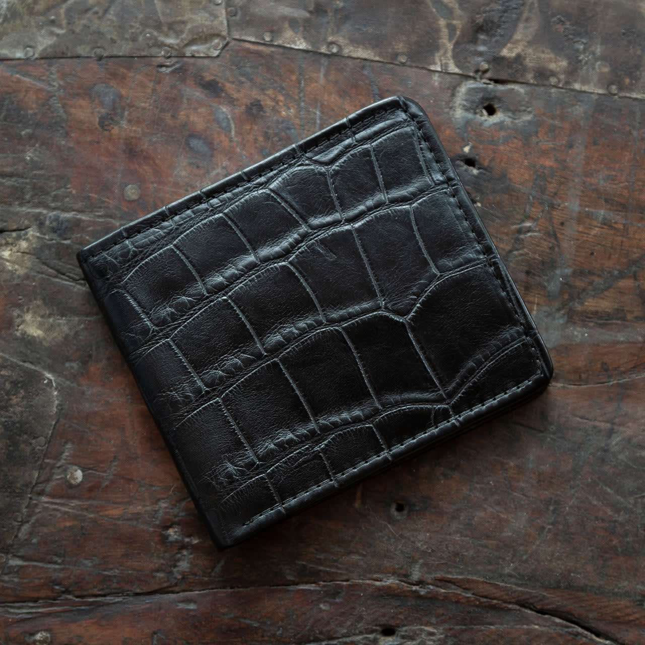 Midnight Alligator