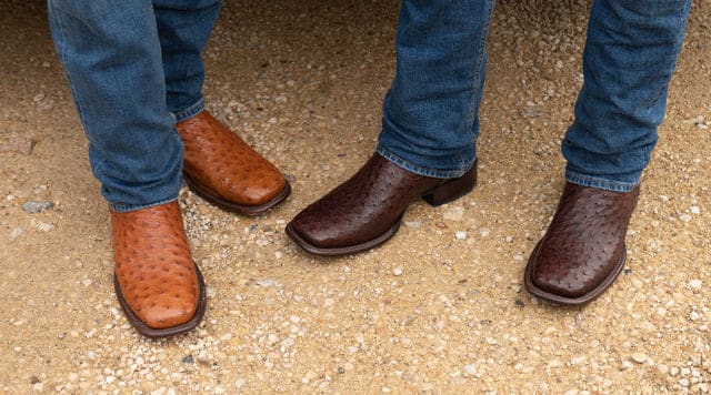 can you wear ostrich boots in the rain