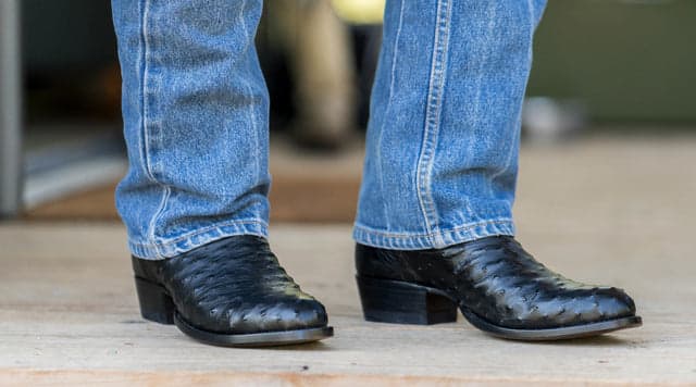 black full quill ostrich boots